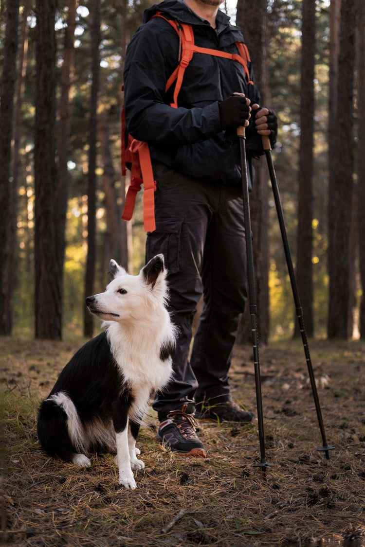 Hunde-Sport - PetFitWorld