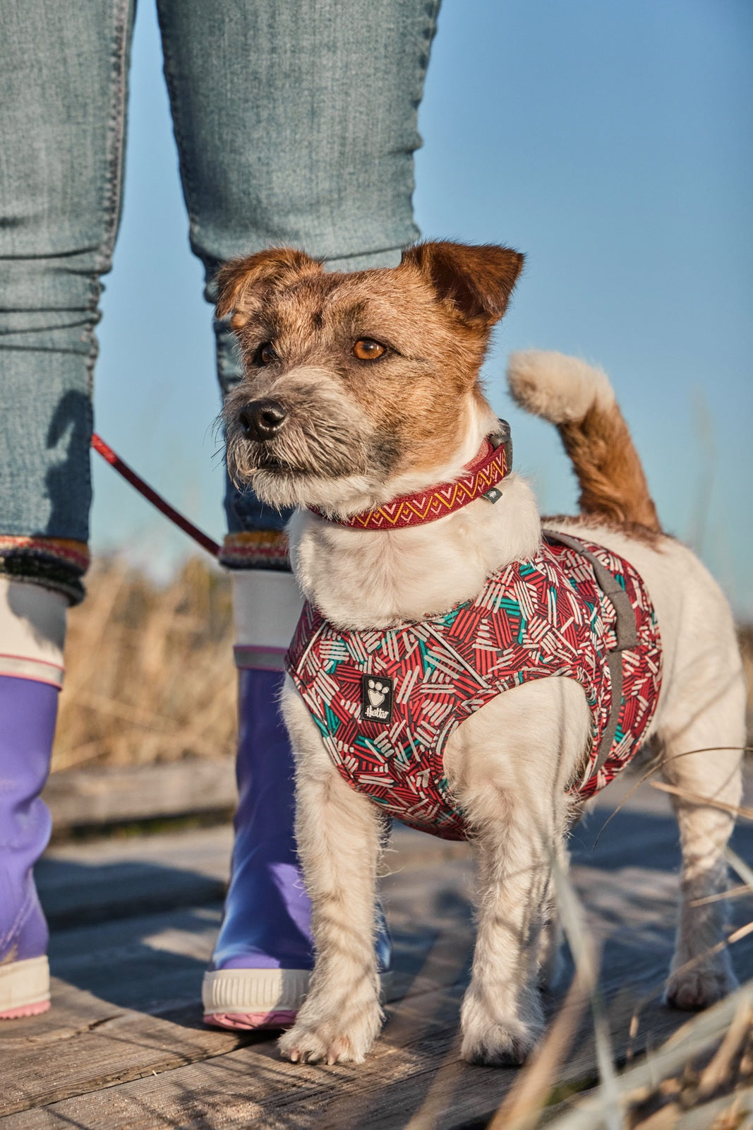 Warnweste Safety Wrap ECO ruby - PetFitWorld