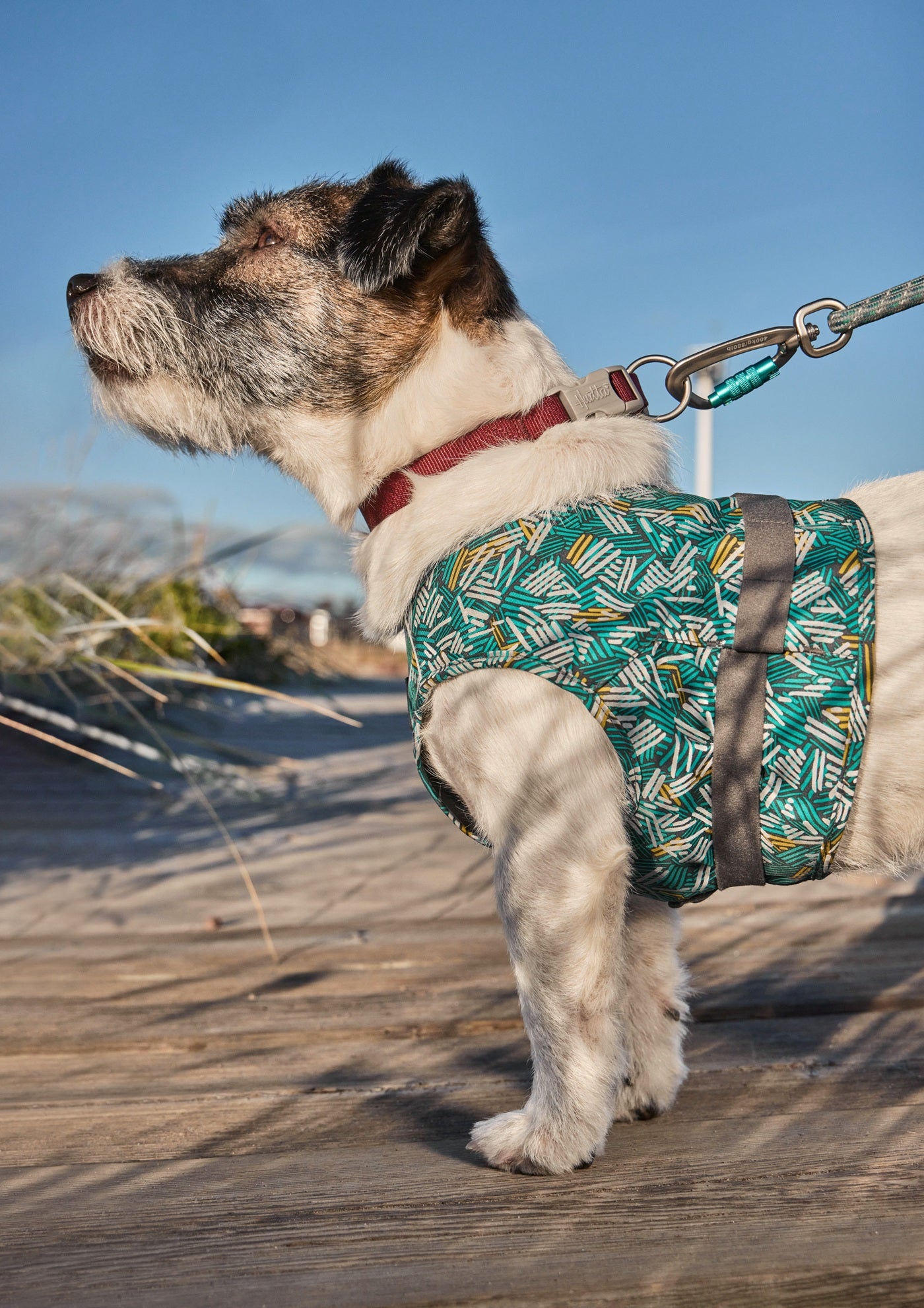 Warnweste Safety Wrap ECO peacock - PetFitWorld