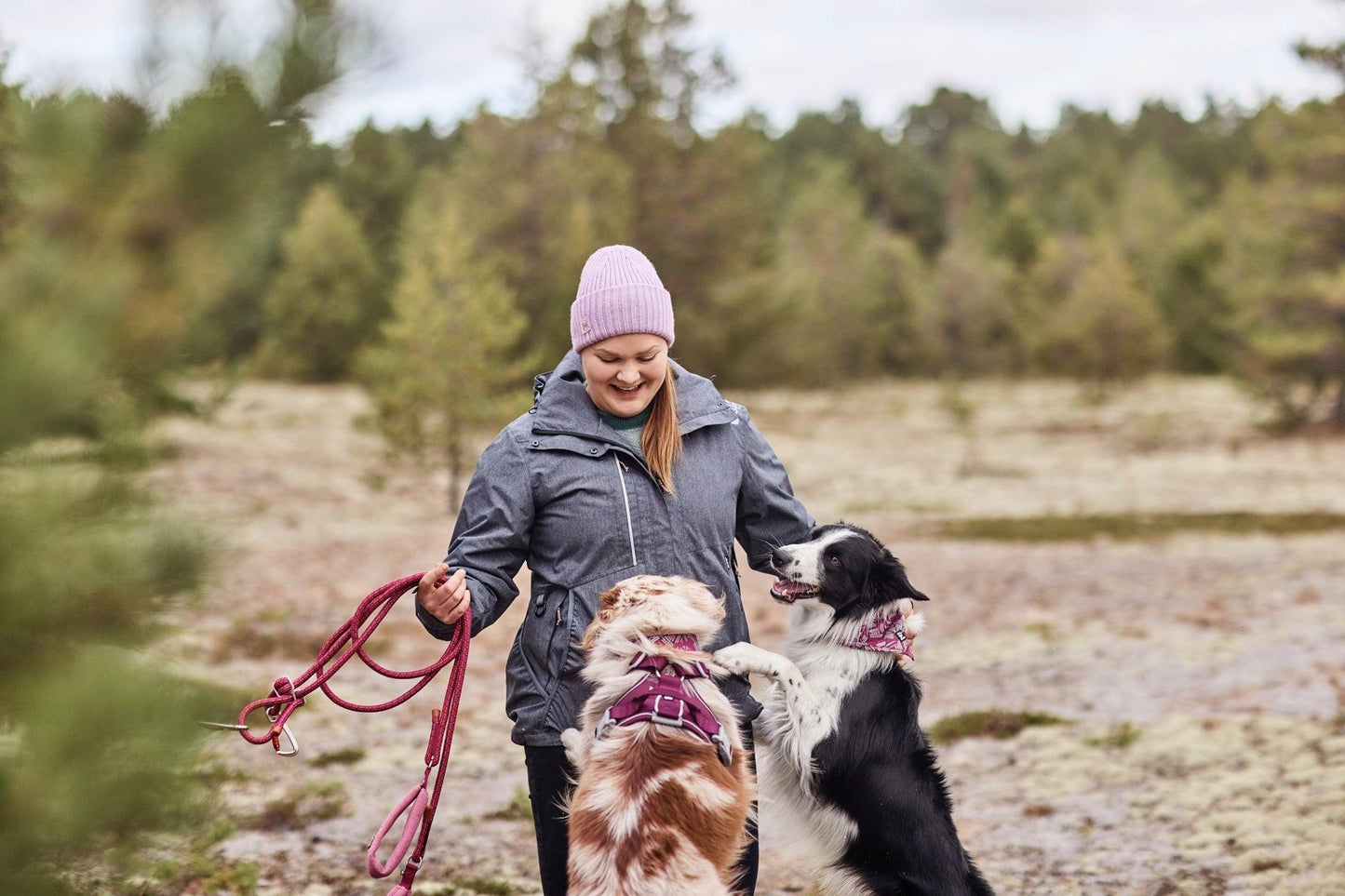 Trainingsjacke Training Jacket ECO blackberry - PetFitWorld