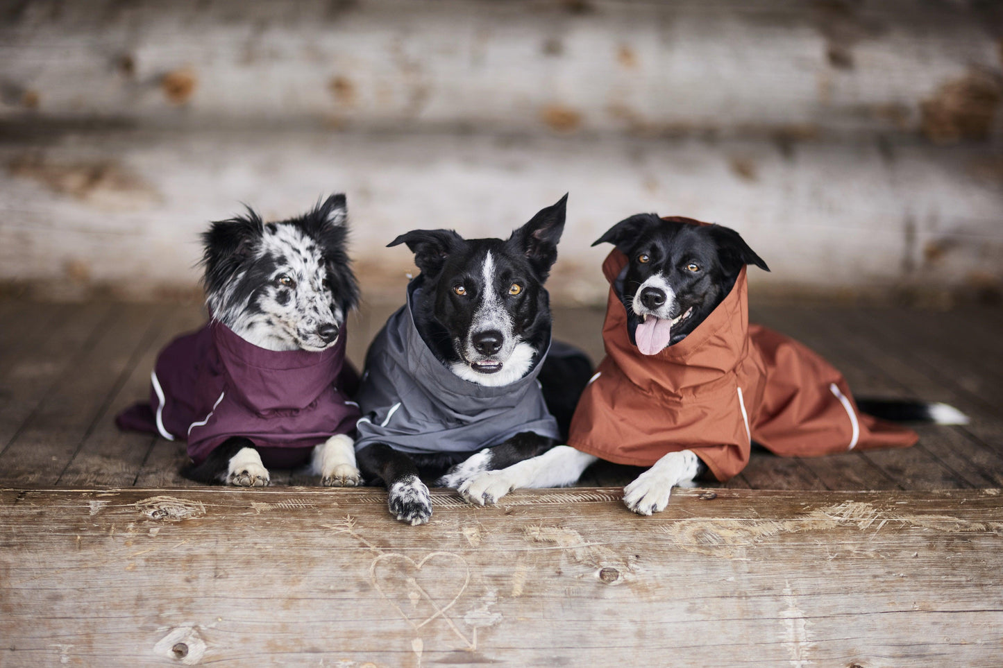 Regenmantel Mudventure Coat ECO cinnamon - PetFitWorld