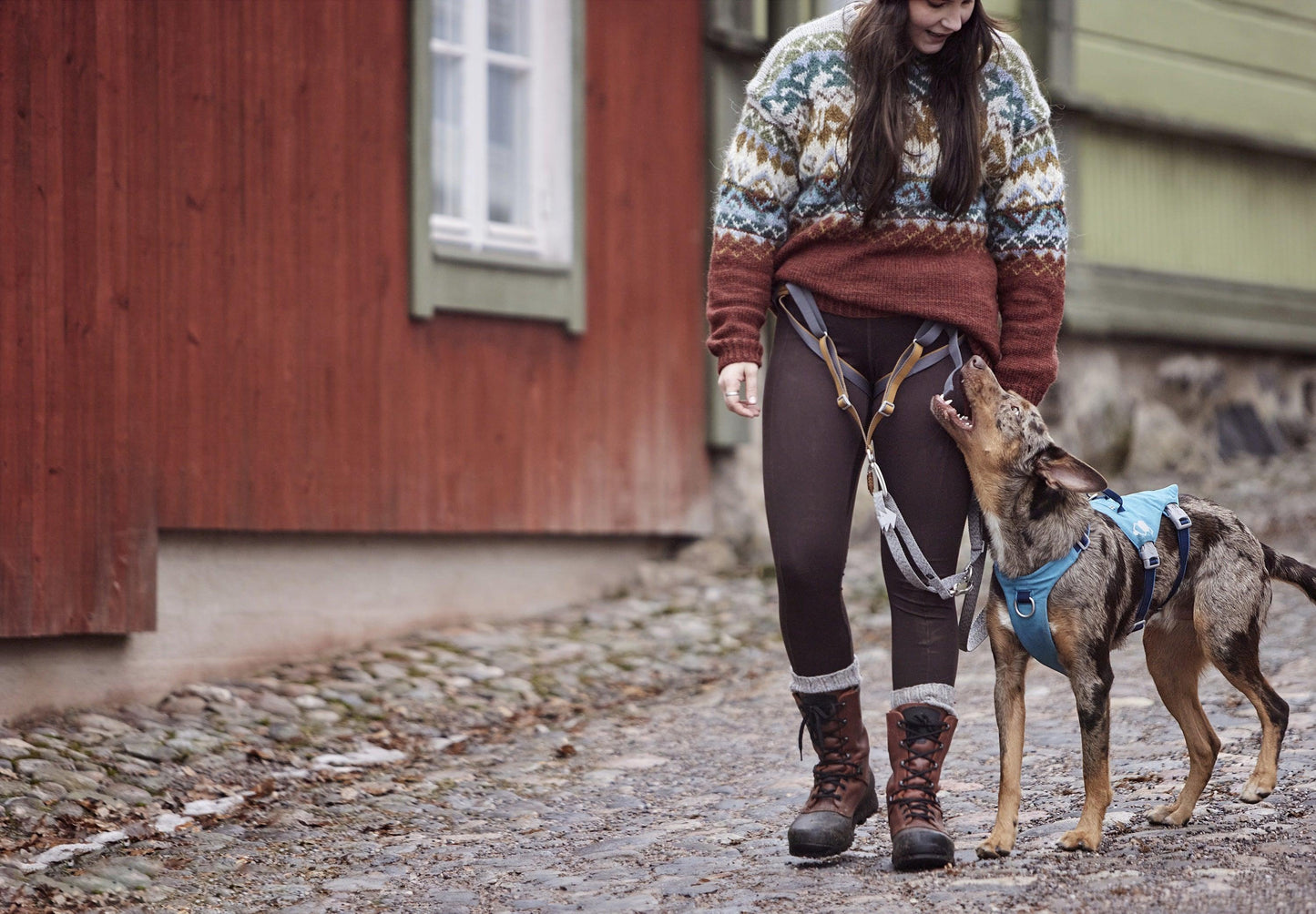 Hundegeschirr Safeguard Harness ECO ocean - PetFitWorld