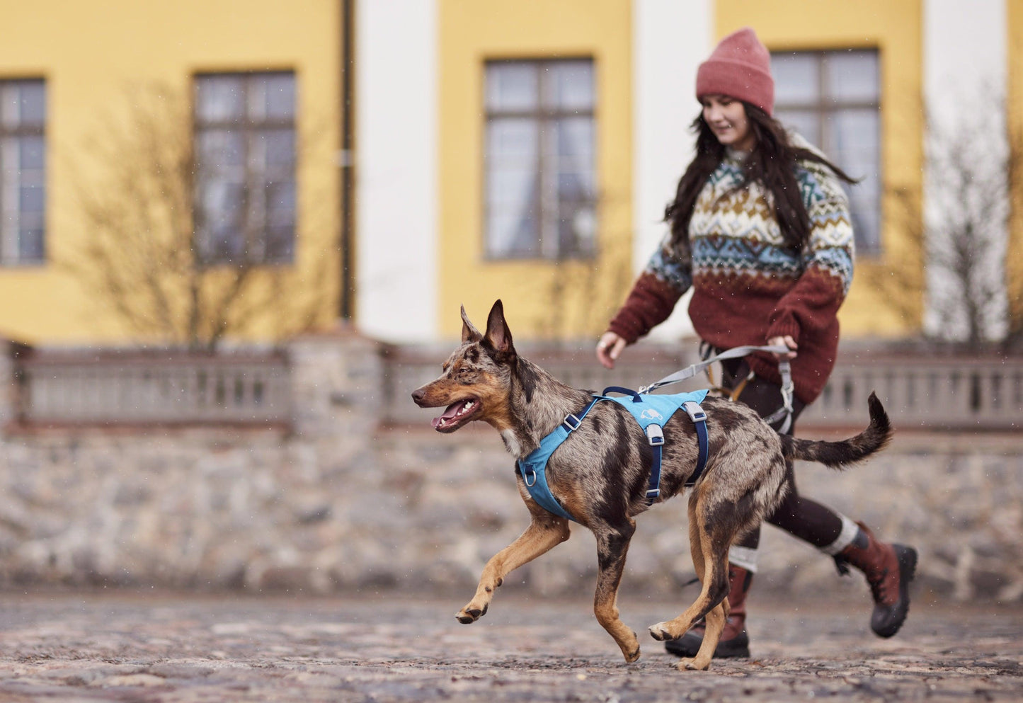 Hundegeschirr Safeguard Harness ECO ocean - PetFitWorld