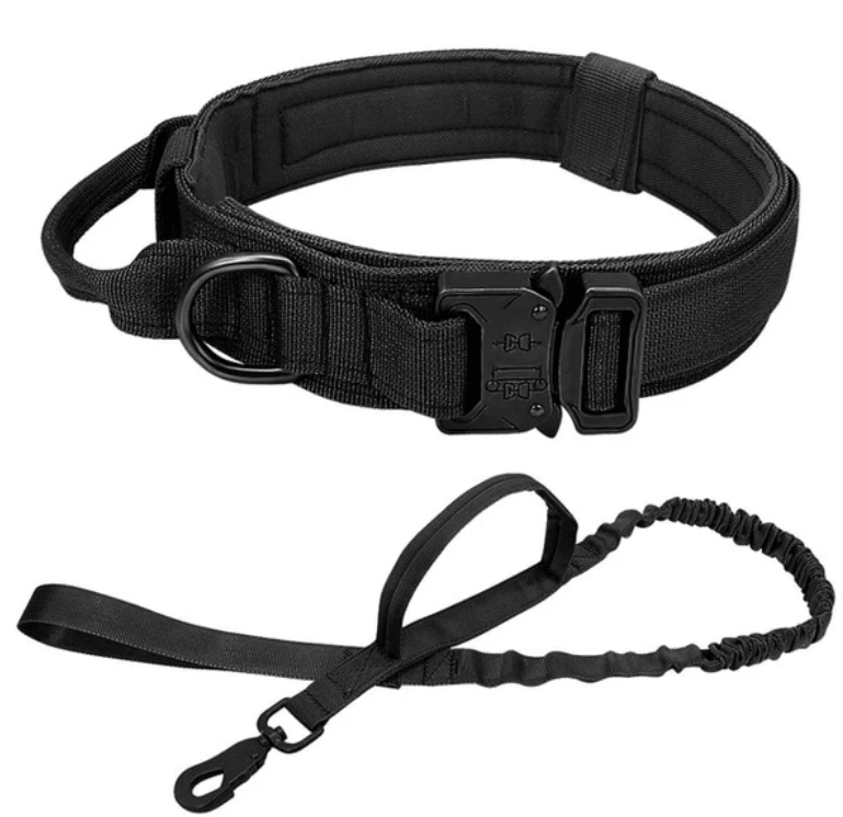 Halsband Robust mit Griff - PetFitWorld