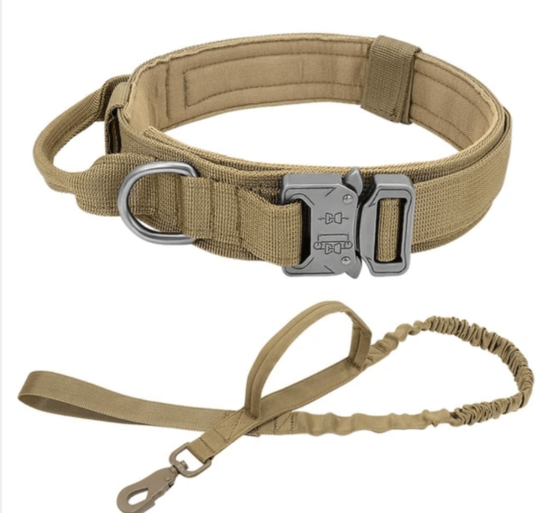 Halsband Robust mit Griff - PetFitWorld