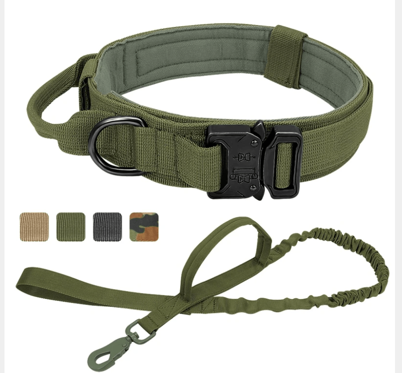 Halsband Robust mit Griff - PetFitWorld