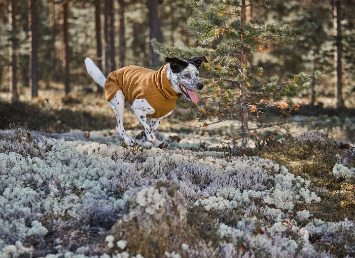Wärmende Hundejacke Warming Midlayer ECO desert - PetFitWorld