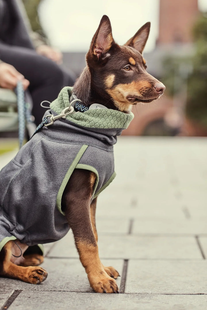 Wendejacke Razzle-Dazzle Midlayer blackberry - PetFitWorld
