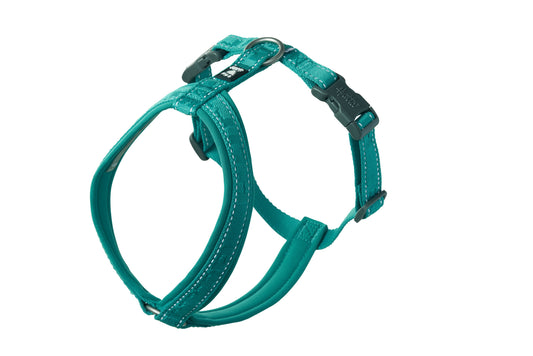 Hundegeschirr Casual Y-harness ECO peacock - PetFitWorld