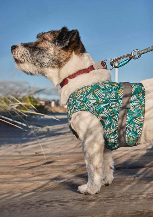 Warnweste Safety Wrap ECO peacock - PetFitWorld