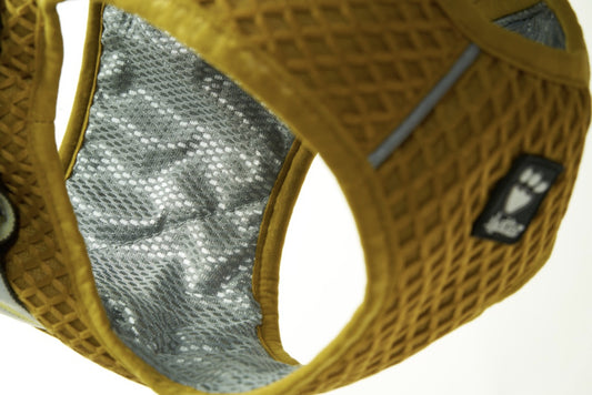 Kühlweste Cooling Wrap turmeric - PetFitWorld