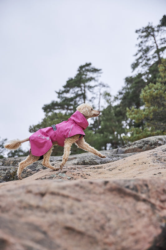 Regenmantel Monsoon Coat II ECO ruby - PetFitWorld