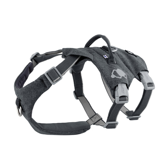 Hundegeschirr Safeguard Harness ECO blackberry - PetFitWorld
