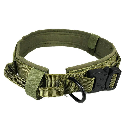 Halsband Robust mit Griff - PetFitWorld