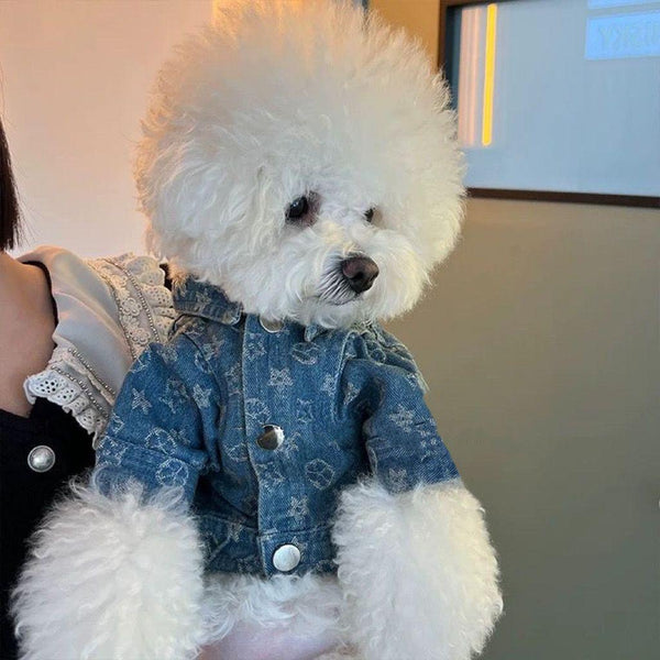 Fashion Dog Denim Jacket Trendy Clothing - PetFitWorld