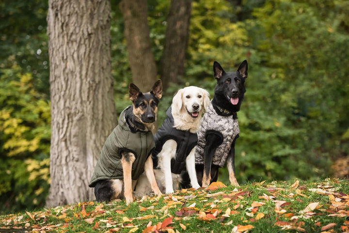 Dunkle Camo Army Hundeparka - PetFitWorld