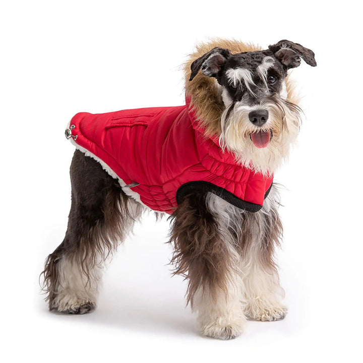 Elasto-Fit Urban Parka - Rot - PetFitWorld