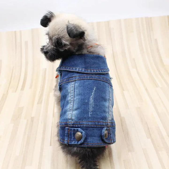 Denim-Weste für Haustiere - PetFitWorld