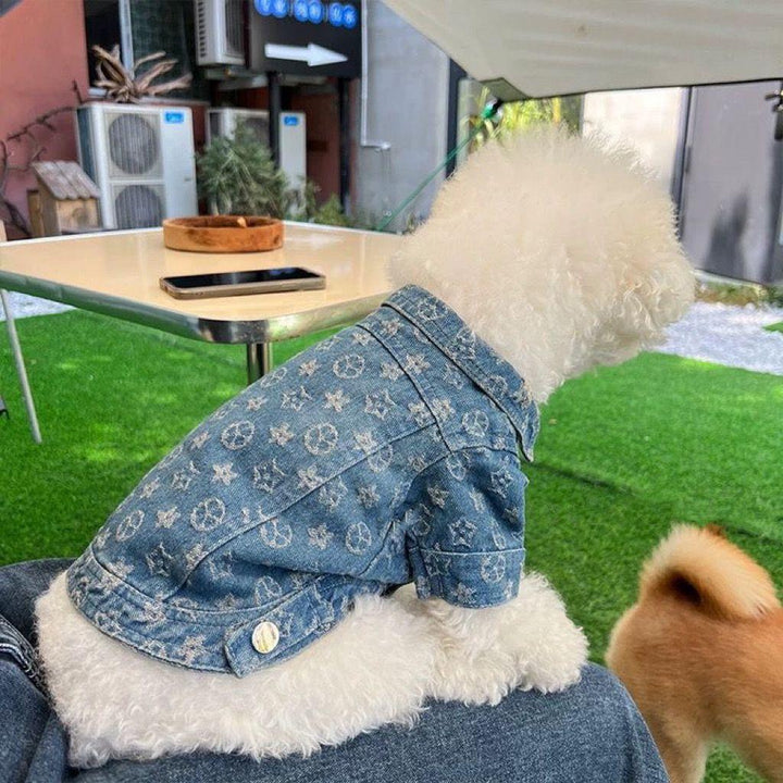 Fashion Dog Denim Jacket Trendy Clothing - PetFitWorld