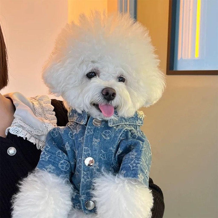 Fashion Dog Denim Jacket Trendy Clothing - PetFitWorld